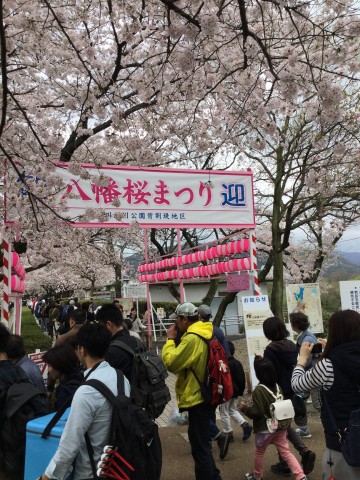 八幡桜まつり入口